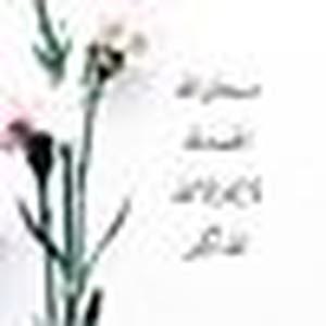  ابو طارق
