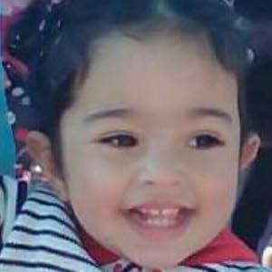  ammar