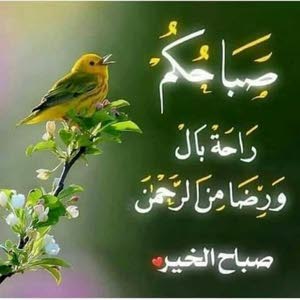  كرم