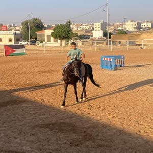  اوس القشقيس