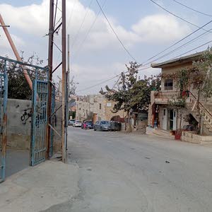 محمد  ابو عياش