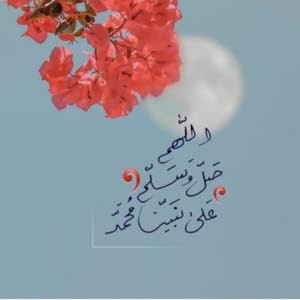  almard alakhdar