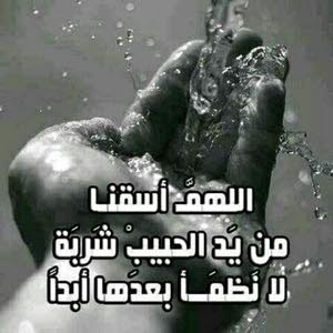  ابو لؤي