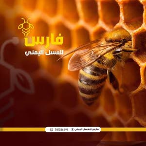  فارس لتجارة العسل اليمني تسويق وتجارة