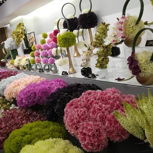 Beauty world