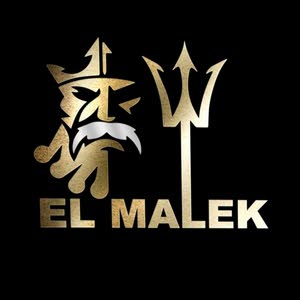  ELMALEK TRADING PLATFORM