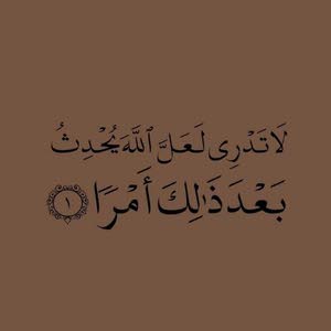  احمد الشامي