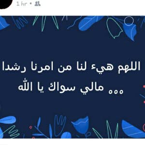  ابو الامير الامير