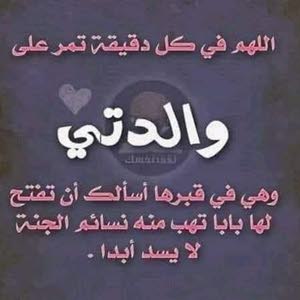  ابو لورانس سعيد