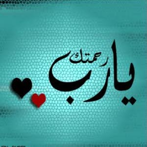 alaa bader