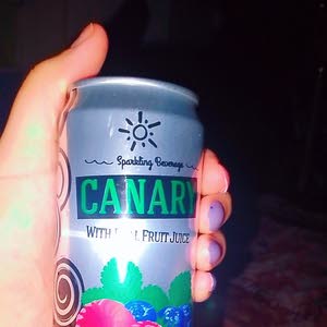  زنىتةتةا