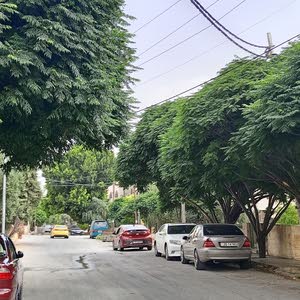  محمد ايمن احمد اسعد