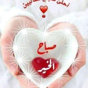 محمود يوسف علي الشيخ