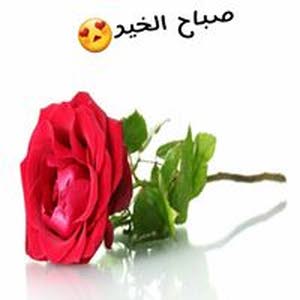 اياد الشمايله