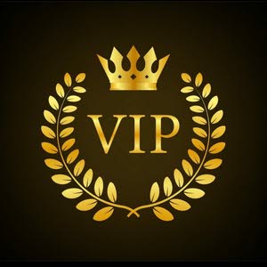  VIP