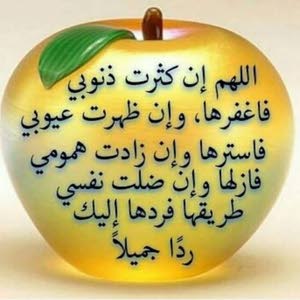 Ahmed Abd Elmanem Ahmed