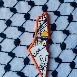 علي محمود علي عوض