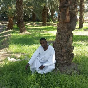 mohammad al-abeed