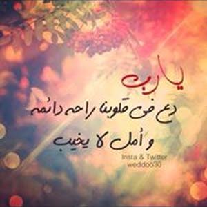  amjed fayez