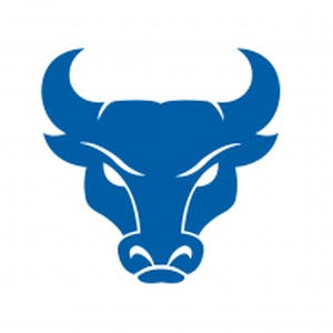  Blue Bull