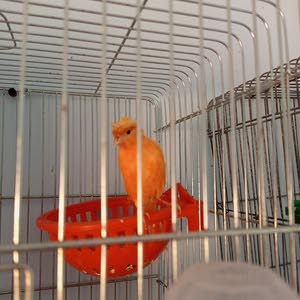  m1