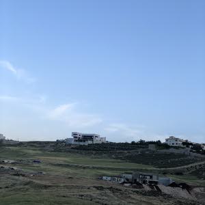  فارس القحطاني