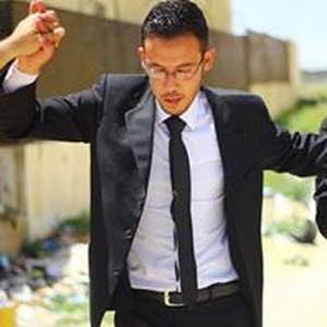  Alaa O. Alshatnawi