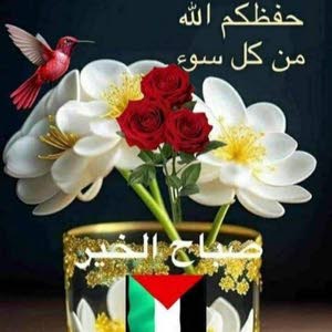  ابو العبد
