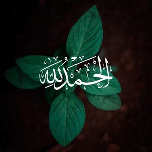  عبود الشوابكة