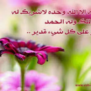  محمد زكال ابو الحارث زكال
