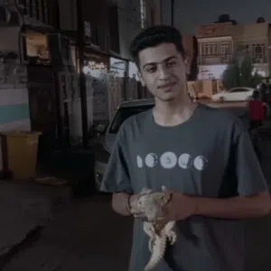 Avatar