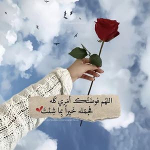 ايمان المدني