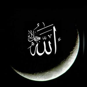  محمد سالم