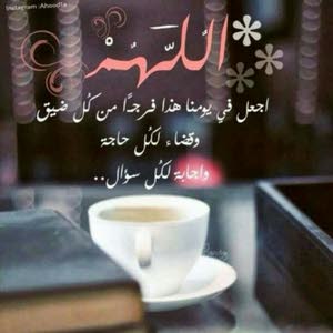  مهند