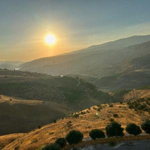 جورج قعوار