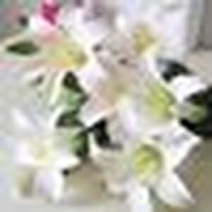  Rnosh Mohmad