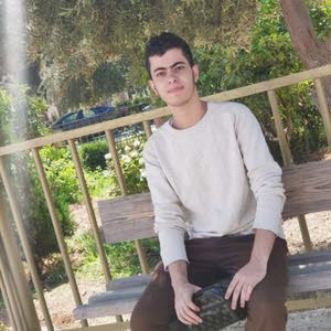 عامر العزة