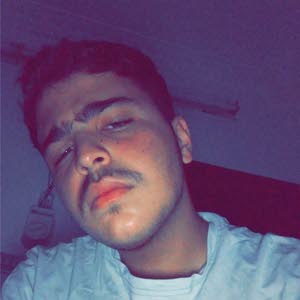 Amr Al Faouri