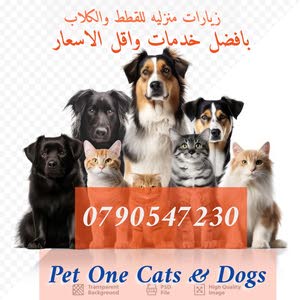  Pet One Cats And Dogs