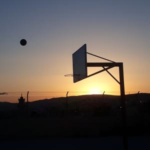  Mahmoud Tayyar