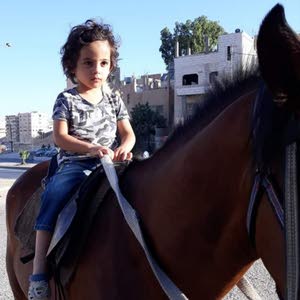 محمد جميل