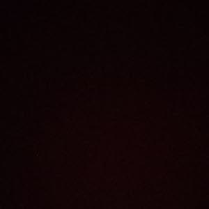 ابومطر