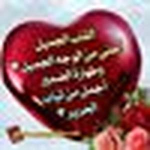  Doaa Awad