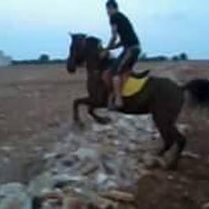 غصاب العرقان
