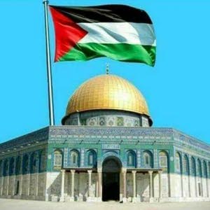 عبود حمو