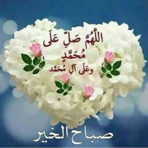  mahmoud mahmoud
