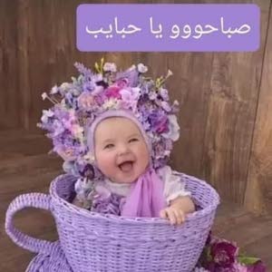 زكريا محمد