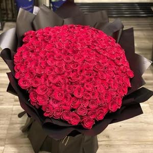  عمر قويدر