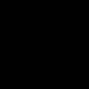 علي رامز كحلون