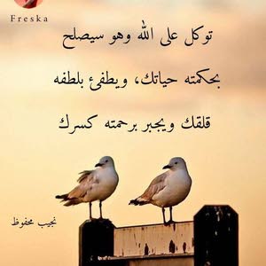 احمد الطفيلي